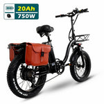 Y20 Folding E-bike Snow Bike, 750W Motor, 48V
